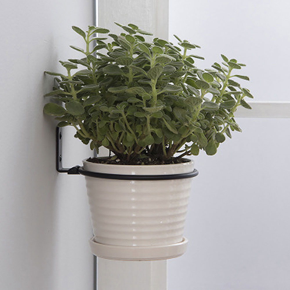 Bandejas para macetas, soporte - Flower Wall Panel reseña y precio
